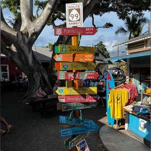 Meet your Posher, Suki